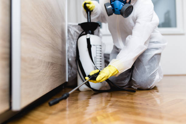 Best Wasp Removal Services  in Norco, LA