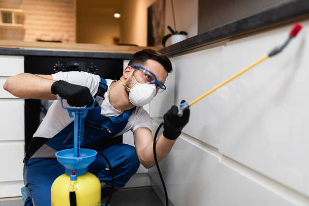 Best Pest Removal Services  in Norco, LA