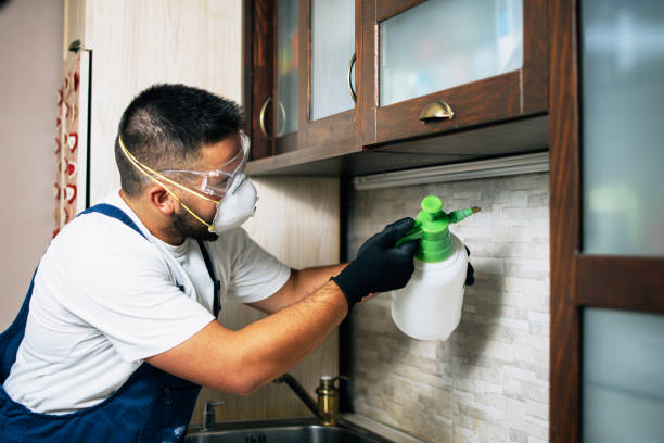 Best Residential Pest Control  in Norco, LA