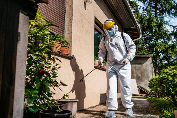 Best Pest Prevention Services  in Norco, LA