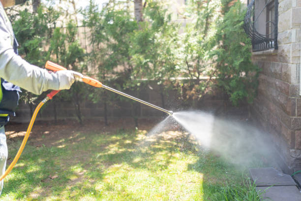 Best Pest Control Treatment  in Norco, LA