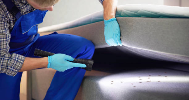 Best Affordable Pest Control Services  in Norco, LA