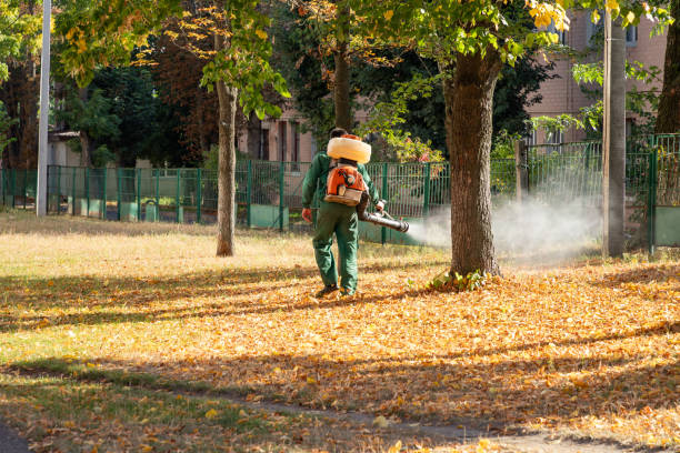 Best Flea Control Services  in Norco, LA